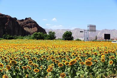 《暗黑4》加载界面截图 玩家在游戏里死亡时就会看见