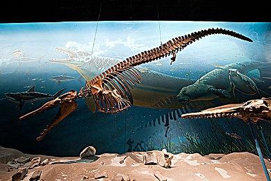 《龙珠战士Z》Steam新史低促销 当前仅售29.7元